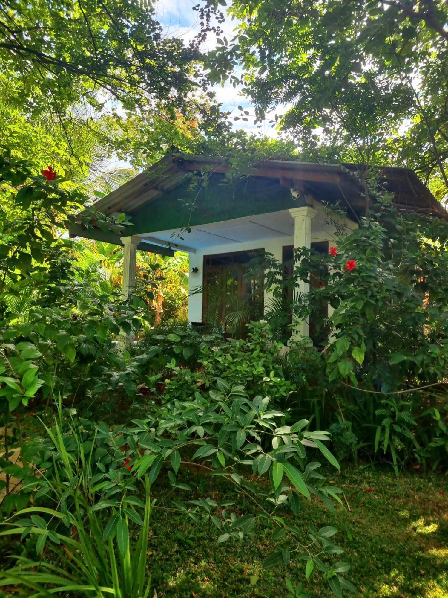 Sunrise Cottage Szigirija Kültér fotó